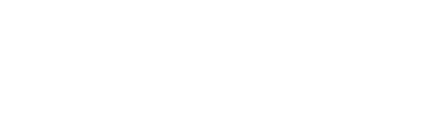 Juvibolt Cybertech